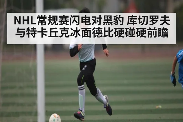 NHL常规赛闪电对黑豹 库切罗夫与特卡丘克冰面德比硬碰硬前瞻